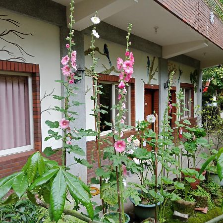 Yi Jia Yuan Homestay Nanzhuang Esterno foto